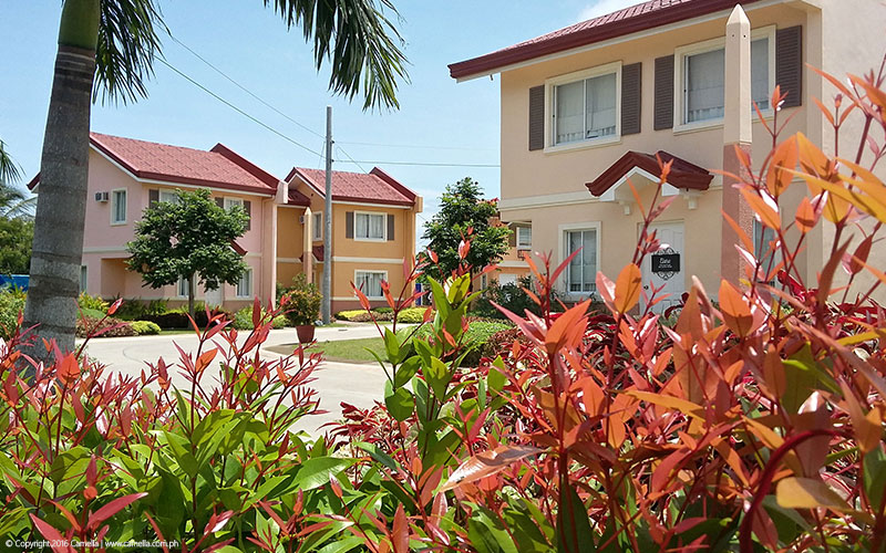 Camella Bohol house and lot units