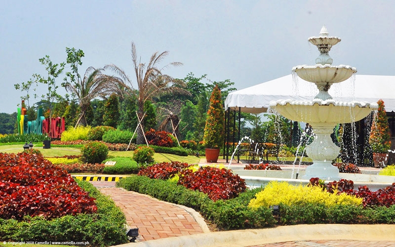 Camella Balanga garden with fountain