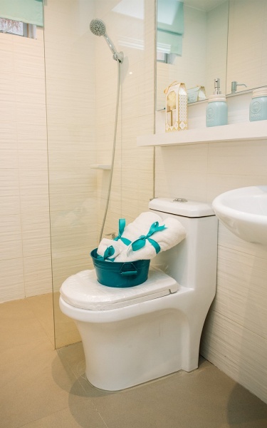 Cara home toilet and bath interior design