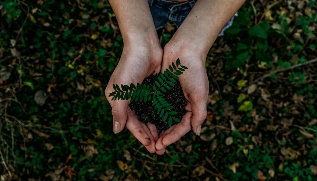 Green lifestyle | Photo by Noah Buscher on Unsplash