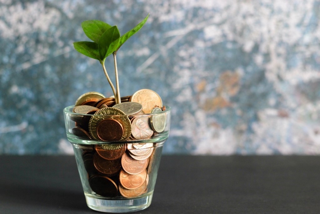Switching to green living means saving | Photo by Micheile Henderson on Unsplash