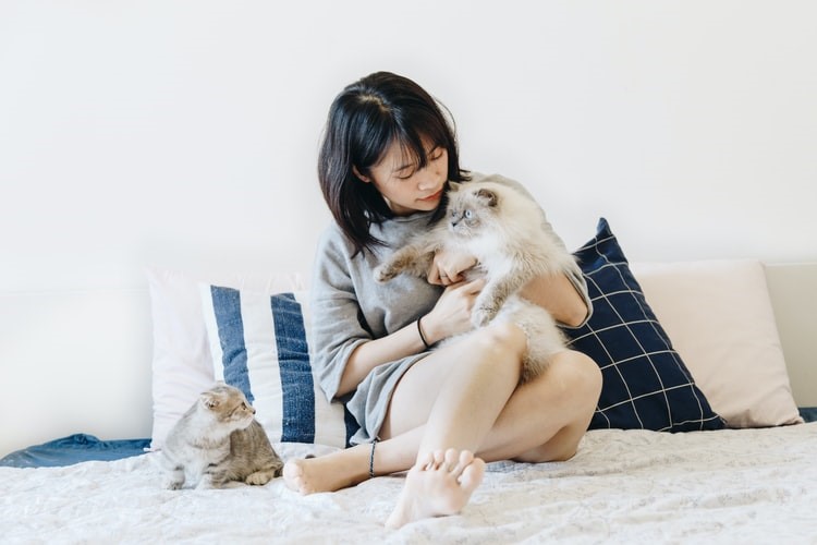 How to Make a Pet-Friendly House and Lot | House and Lot Philippines