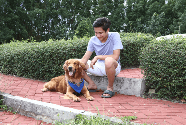 Pet-friendly community