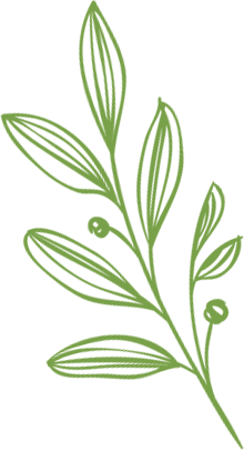 HOUSE & LOT | CAMELLA HOMES