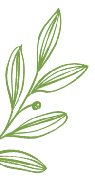 HOUSE & LOT | CAMELLA HOMES