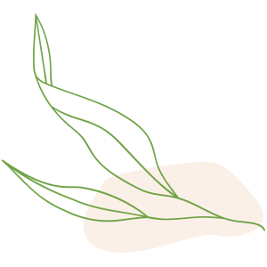 HOUSE & LOT | CAMELLA HOMES