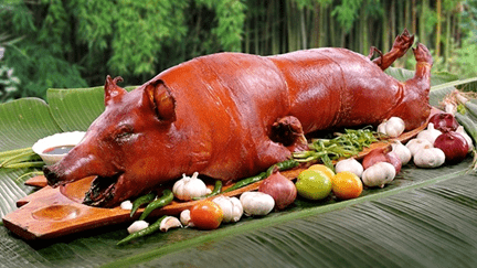 Lechon | House and Lot in Cebu