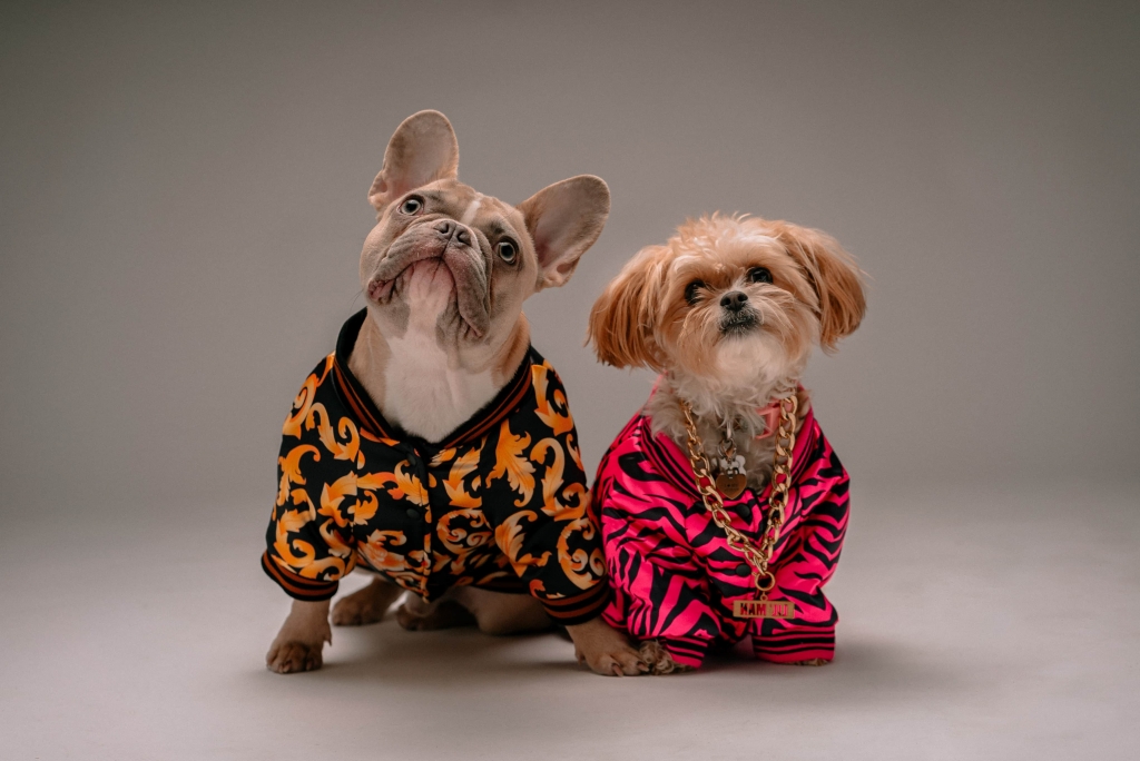 Condo-friendly Pets