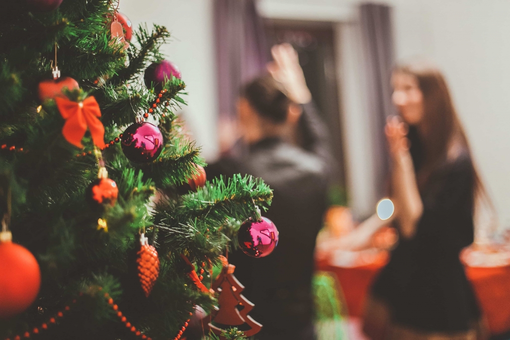 House Cleaning after Christmas
