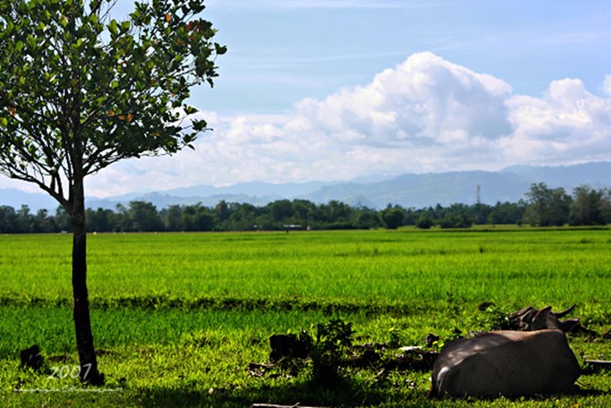 Province View