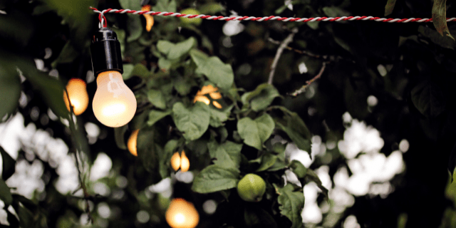 Add lights to your home garden