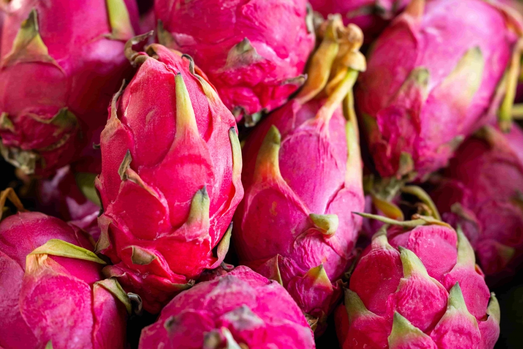 Best Dragon Fruit Recipes to Try