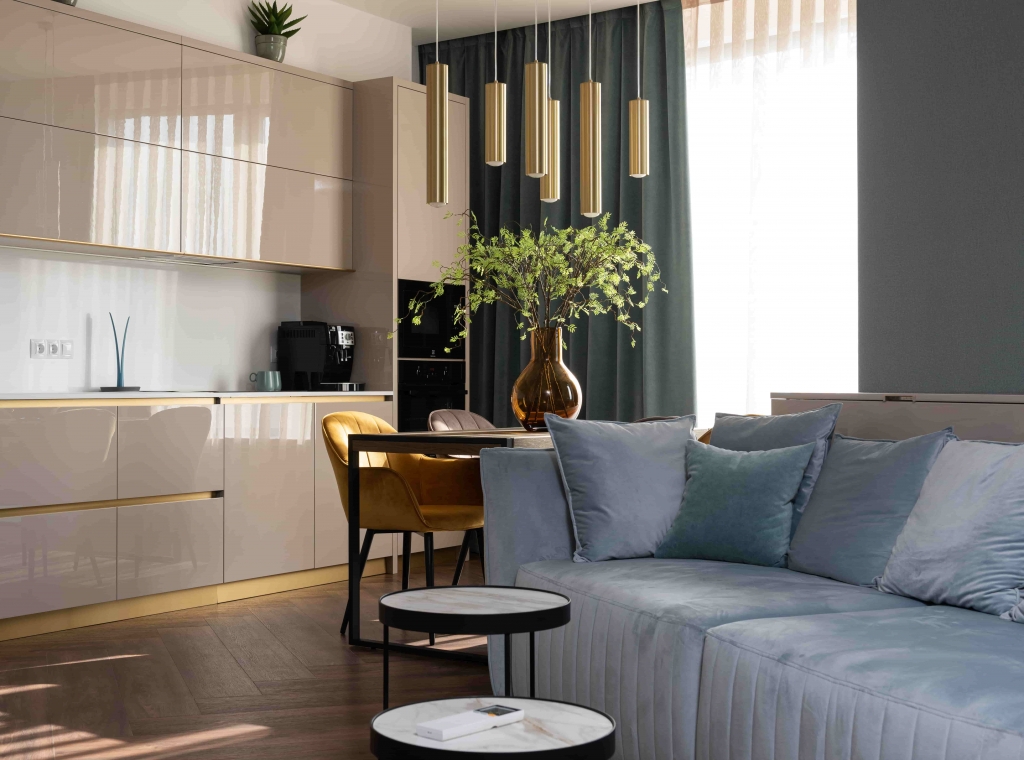 Living Room Sofas to Bring Home