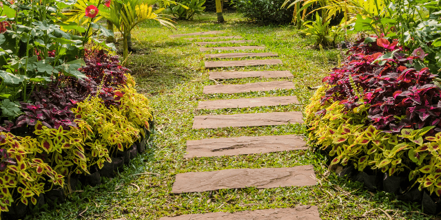 Pathwalk ideas for a low maintenance yardas for a low maintenance yardPathwalk ideas for a low maintenance yard