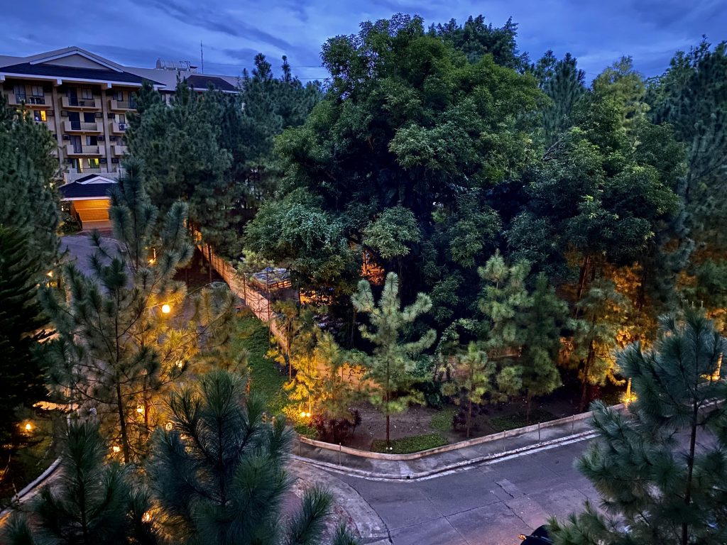 Pine Tree Condo Community