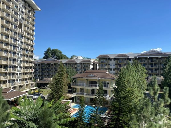 Pine Tree Landscapes in a Pine Estate Condo
