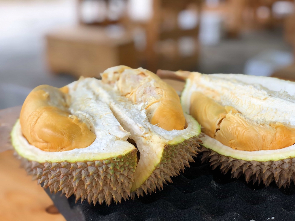 Durian a Famous Davao Local Fruit