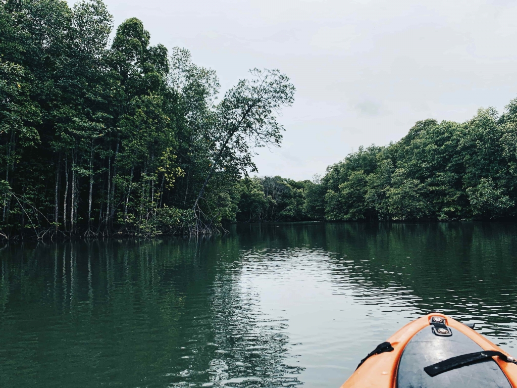 Reasons to Visit Capiz
