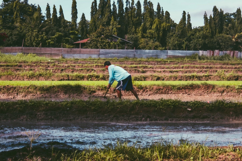 Abundant Growth Opportunities in Pampanga