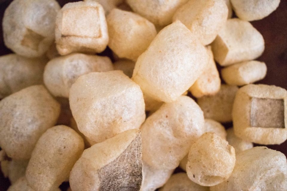 Chicharabao | Photo from CNN Philippines