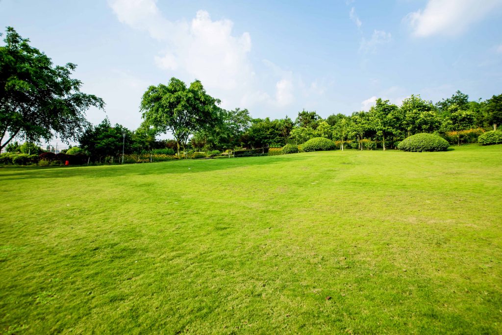 Lot for Sale in the Philippines