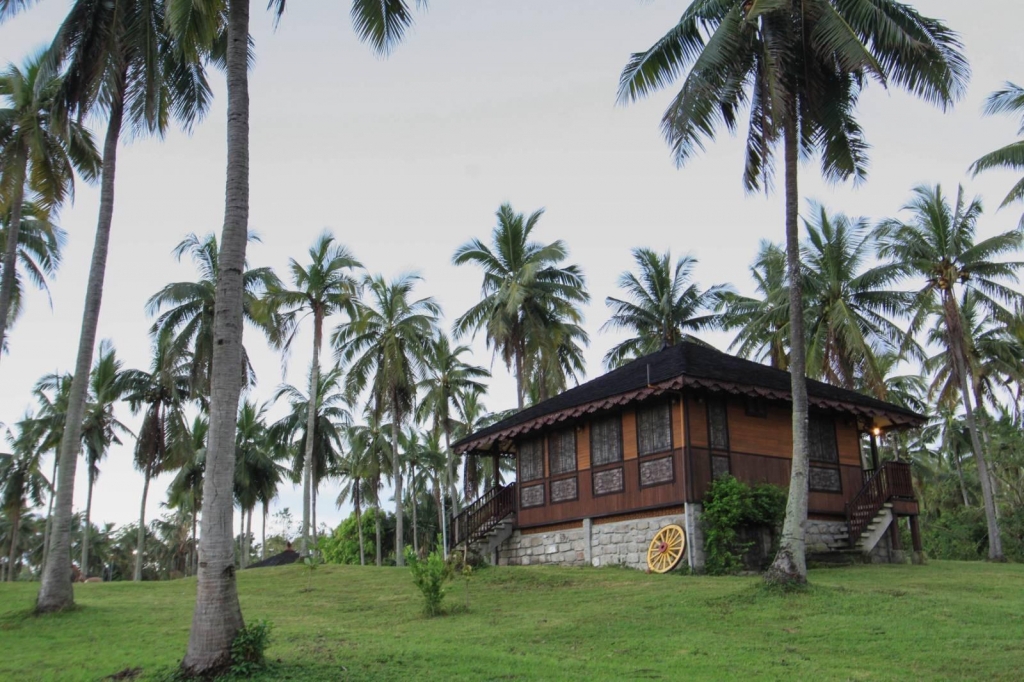 Bahay Trinidad Bufi Farm Photo from Airbnb