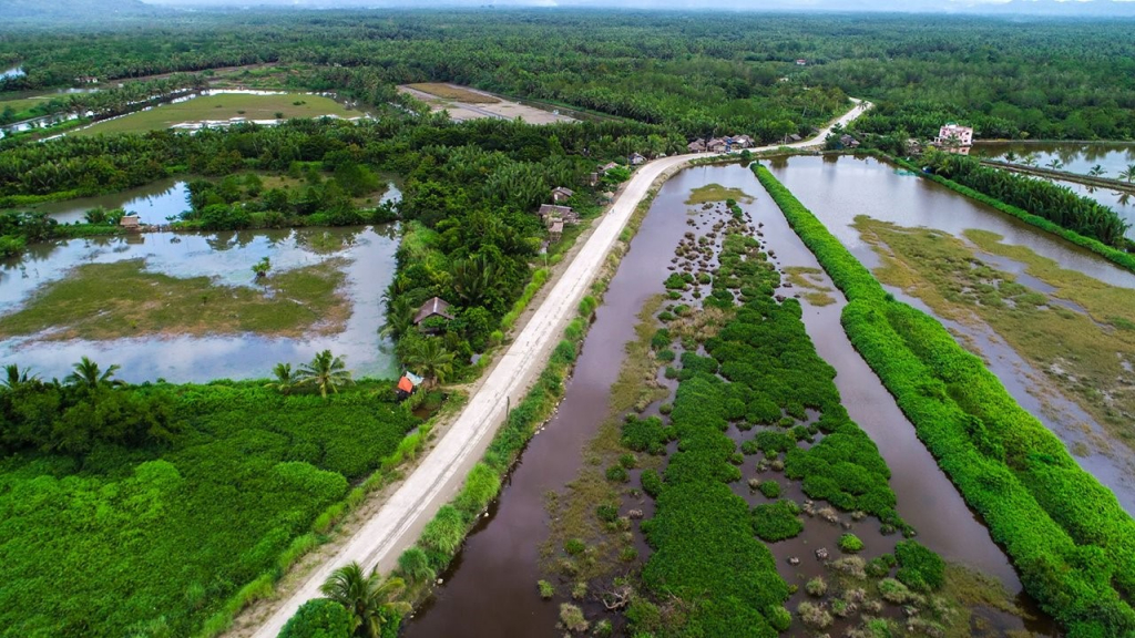 Banza-Magallanes Road Photo from DPWH
