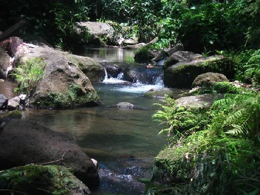 Calejon Falls Photo from Travel to the Philippines