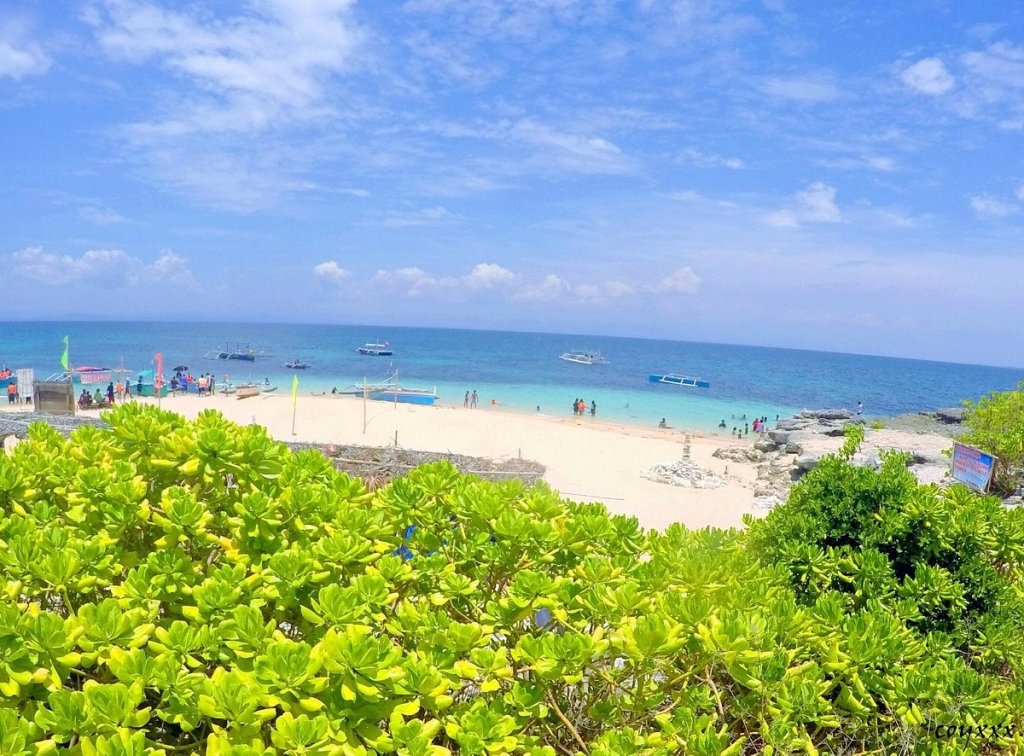 Coibra Island