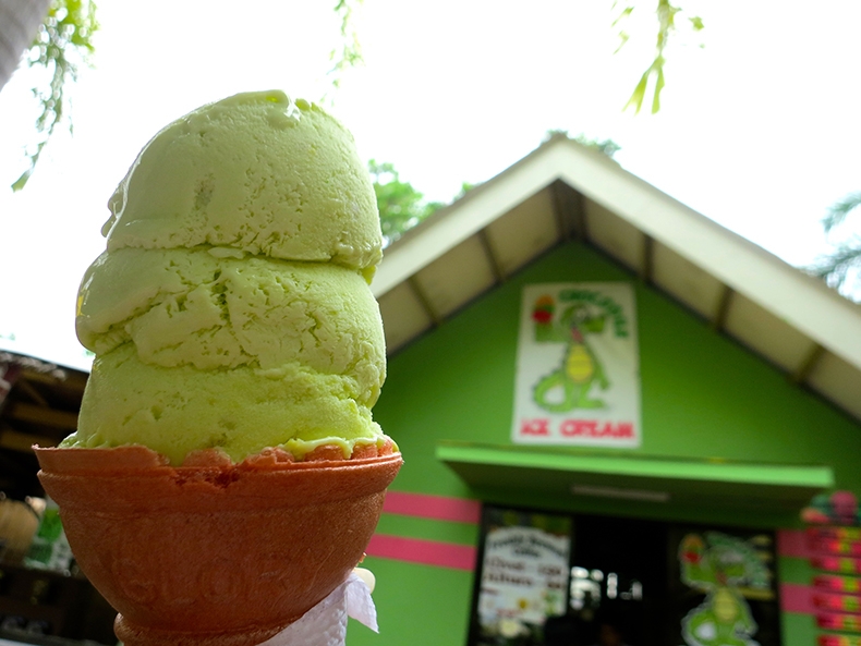 Crocodile Ice Cream in Davao Photo from Aquazorb
