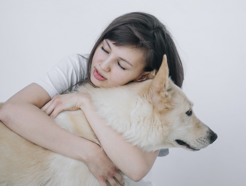 How to Take Care of Your Dogs during Summer