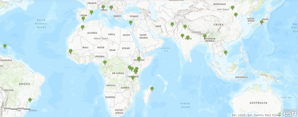 The Canopy Project for Earth Hour 2022 - A map of the reforestation projects worldwide