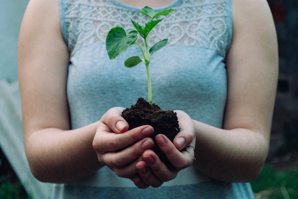 Plant more trees