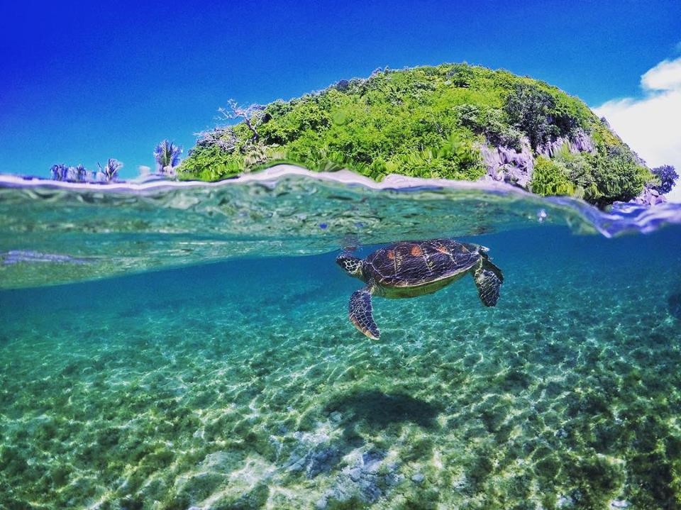 Best tourist destinations near Dumaguete City Photo From Cebu Trip Tours