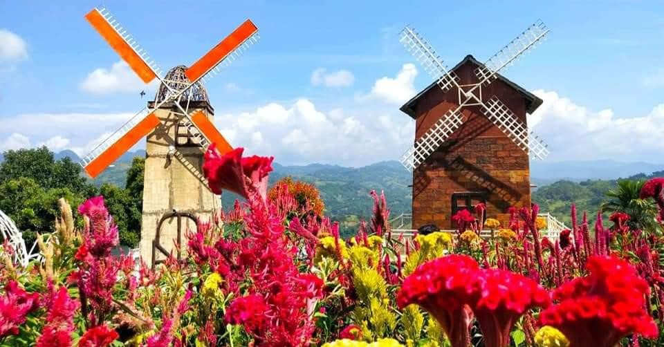 Sirao Flower Garden photo from The Light Traveler