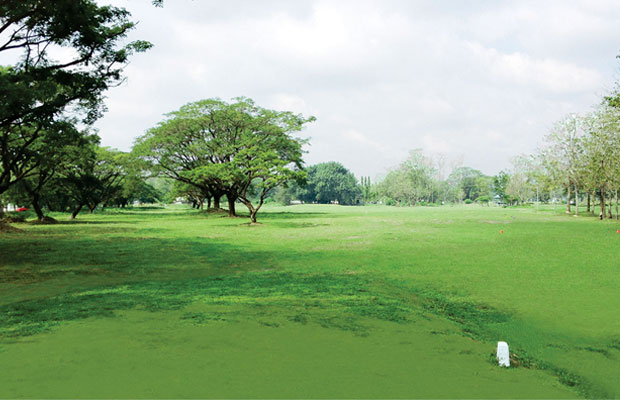 Air Force City Golf Club Photo from Golf PH