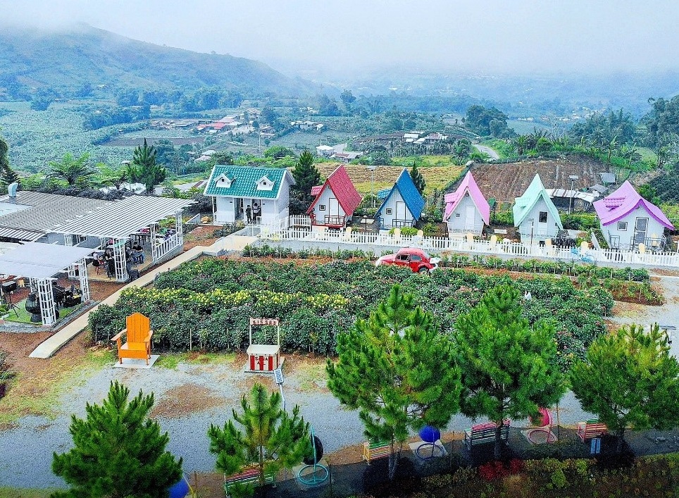 Wonders of Digos - Jardin de Señorita Mountain Resort