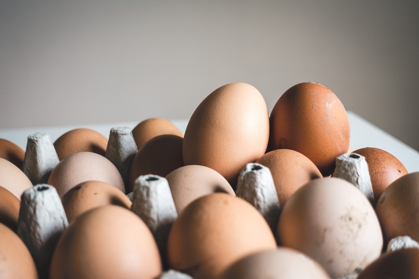 Eggs are rich in Protein