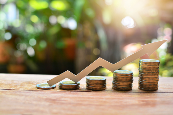 Taking a calculated risk in investing is always a wise decision | Photo from the website dummies.com