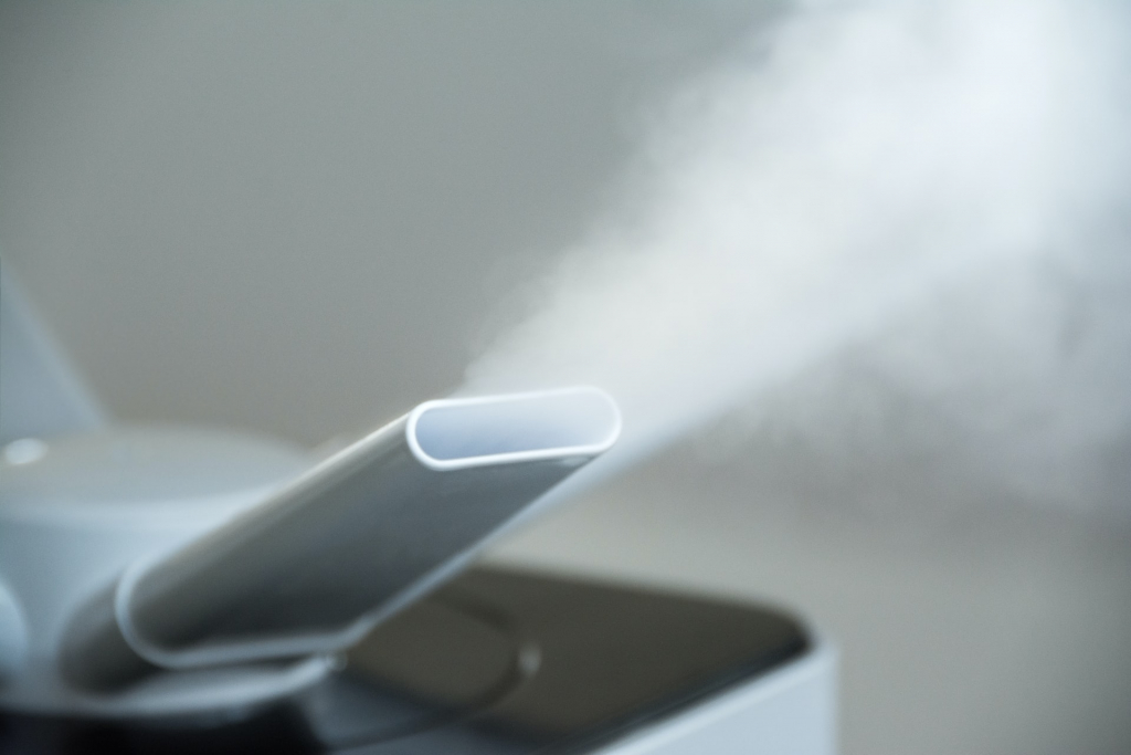 Home dengue protection