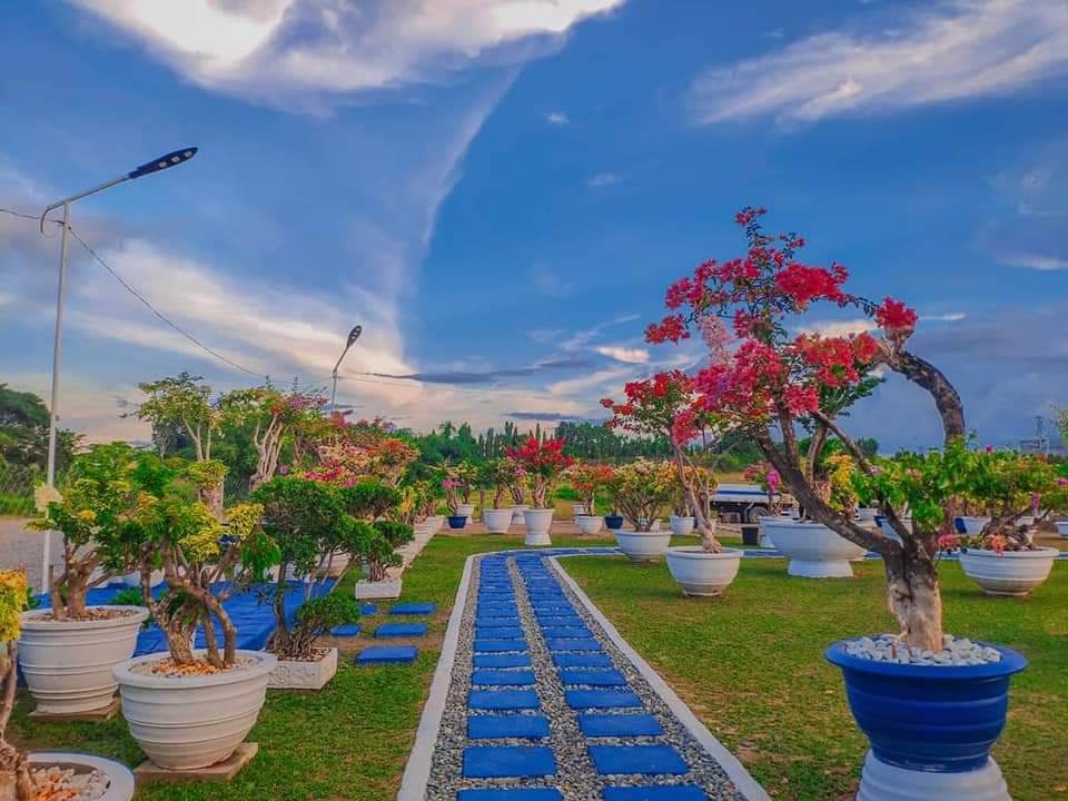 Meraki Garden Reina Mercedes Isabela