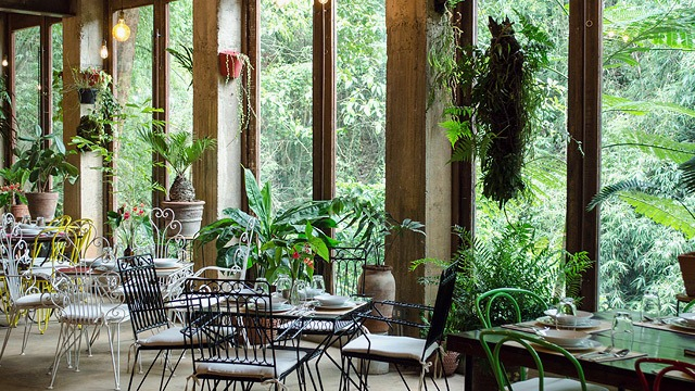 Burrow Café at Antipolo Beehouse Photo from Spot PH