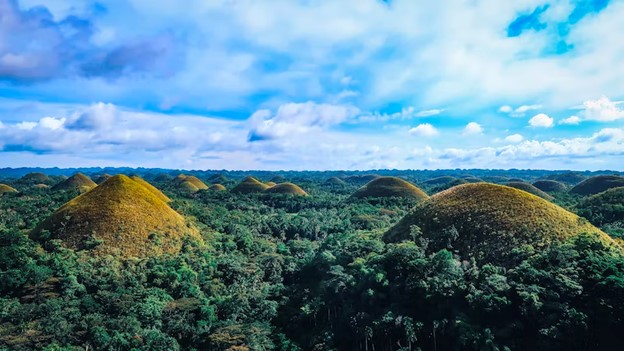 Why Bohol is the Next Business Destination Photo by Hitoshi Namura on Unsplash