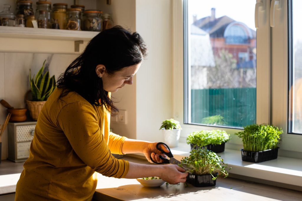 8 Easiest vegetables to grow at home  | Camella | Photo from Freepik
