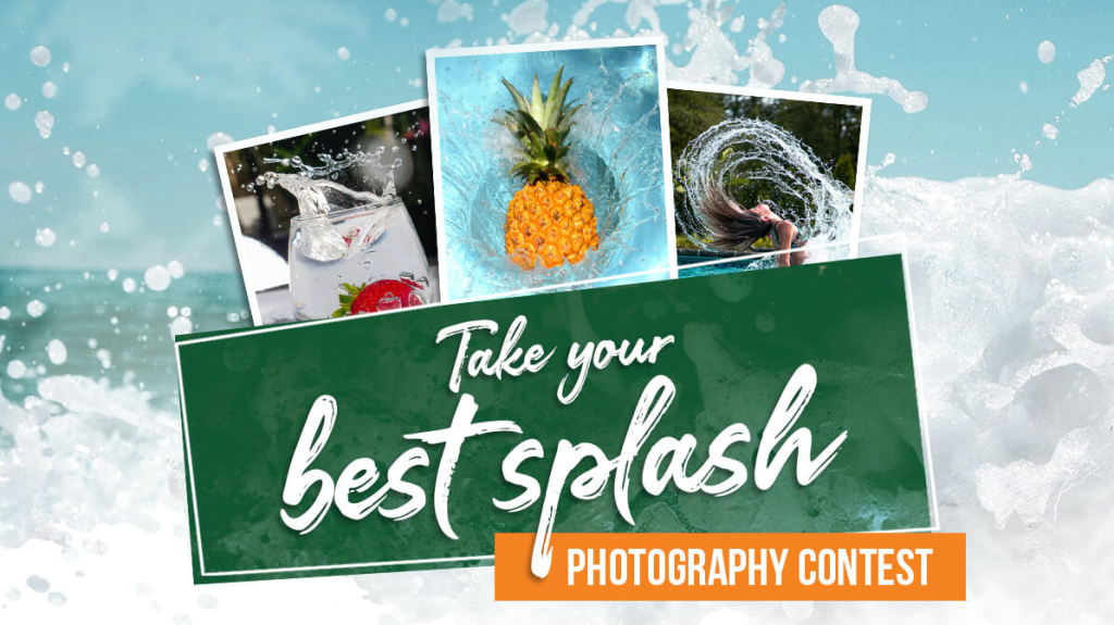 CAMELLA 2023 SUMMER_Photography contest