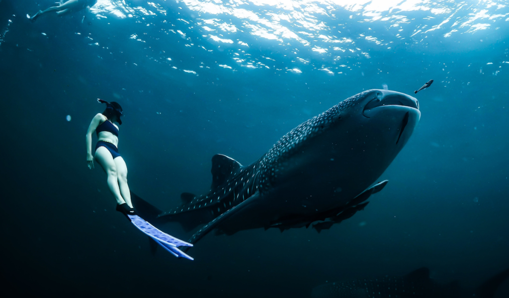 The Ultimate Guide to Fun Activities in Sorsogon