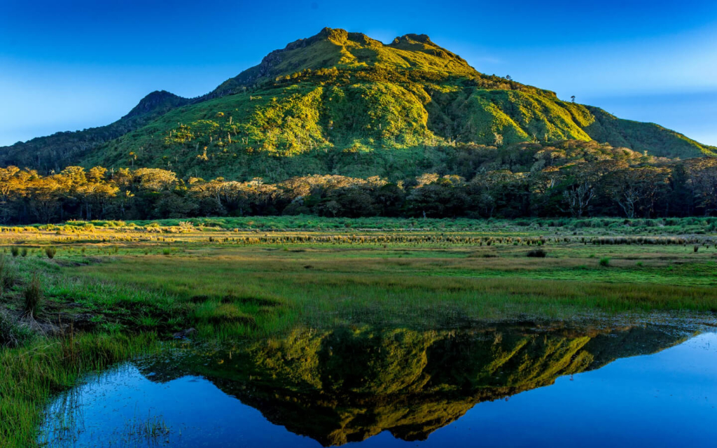 mount apo in davao del sur near camella davao