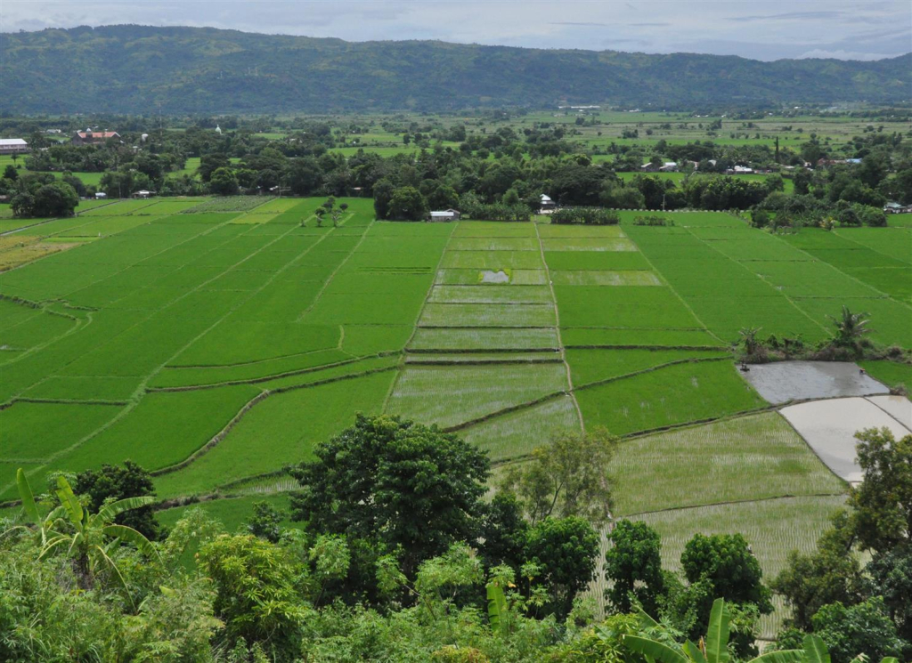 Why invest in San Jose City, Nueva Ecija / Image from San Jose City Website