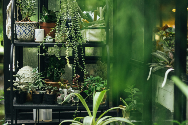 View of Tips on Eco-friendly Home Exterior Design - Camella Homes