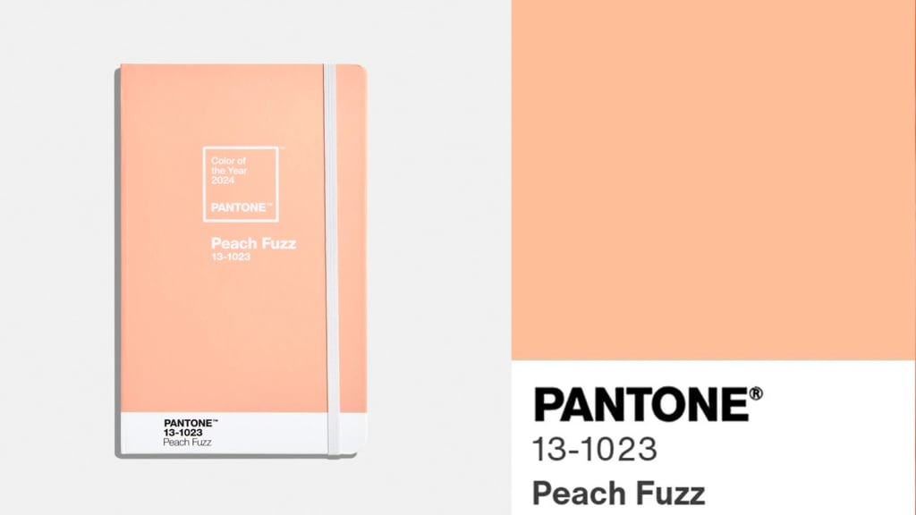 What is the Pantone color of the year? Peach Fuzz named color of the year  2024; What is PANTONE 13-1023 Peach Fuzz? - ABC7 Chicago red carpet
